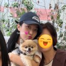 삼덕애견 이미지