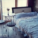 바다와푸른솔 이미지