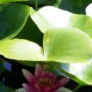 생활의상(기초) 이미지