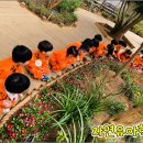 자연유아학교 이미지