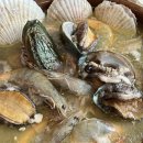 강촌 토종삼계탕 | 인천 구월동 백숙, 삼계탕 전문점/ 강촌 토종 삼계탕 방문후기