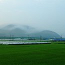 모량