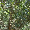 (주)단주 이미지