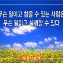 이미지연