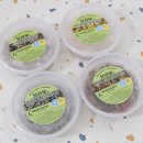 브라보 마이펫 이미지