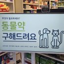 영천심야약국 이미지