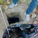 은행영사정로 이미지