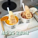카페달콤나무 | 우도여행 우도카페 달콤아재 땅콩아이스크림 솔직후기