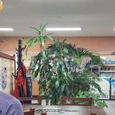 대천해물 면 낙지 칼국수 이미지