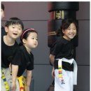브레인박사태권도 네이버블로그