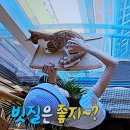 583 | 옥자연의 소박한 하루, 전현무의 특별한 만남 – 나혼자산다 583회 리뷰