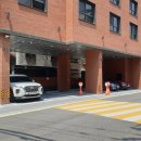 SD Firstier 이미지