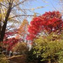 가정초등학교 이미지