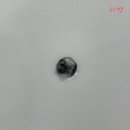 내가 누구개? 이미지