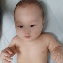 머리깍자 이미지