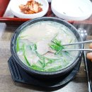 합포로-1 | [창원 양덕동 맛집] 밤샘 근무의 피로를 씻어주는 뜨끈한 국물, '24시 남양돼지국밥' 리얼 후기