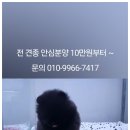 아이러브 독 이미지