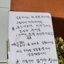 짠하게님 제라늄 삽수 이미지