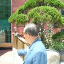 나폴리 카페 이미지