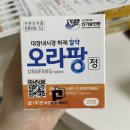 대장내시경 후기 / 오라팡 알약 후기 / 식사조절