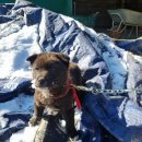 하영 경로당 이미지