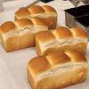 [제과제빵기능사 실기] 제빵기능사 이미지