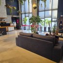 주니비노호텔 이미지