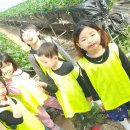 한양대 도담 태권도 이미지