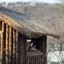 영락유치원 | 대구 아이랑 가볼만한곳 [네이쳐파크 부대시설 및 요금 할인]