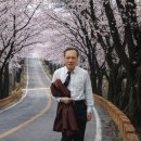 꽃피는 서정