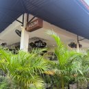 라곰(LAGOM) | 발리 짱구 맛집 내돈내산 브런치 라곰 내돈내산 추천