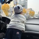 문화 | 웅이의 문화센터 후기 – 병아리 가족 이야기