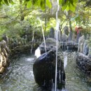 거목식당 이미지