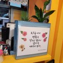 마시야 이미지