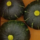 죽도농장 이미지