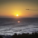 2020-주136 이미지