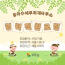 수세무회계사무소 티스토리