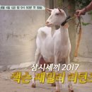 삼형제목장 이미지