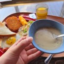 비스비제주 앤 팜빌리지 | 서귀포 펜션 추천! 8000평 정원+인피니티풀, 발리 감성 비스비제주 앤 팜빌리지 후기