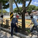 매포중학교 이미지