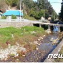 외궁천 뉴스1