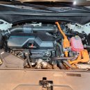 루페스빅풋 디테일링센터 포항점 이미지