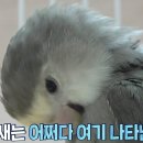 학계농장 이미지