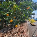 라파요양병원 이미지