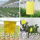 아그로텍