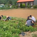 남형농장 이미지