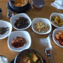 진은이네식당