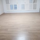 지엘리베리움 이미지