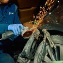 태평양카독크 이미지