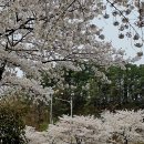 보문산로 이미지